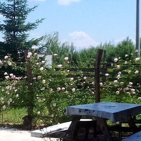 Rooms Ma La 카를로바츠 외부 사진